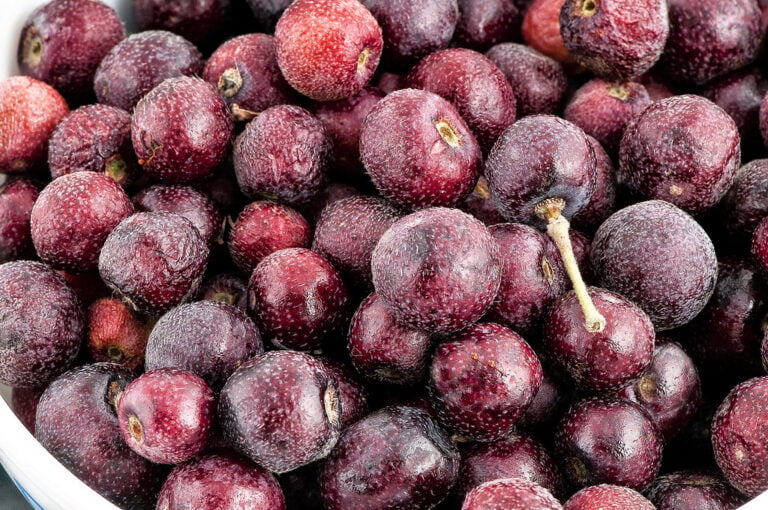 Benefits of Falsa