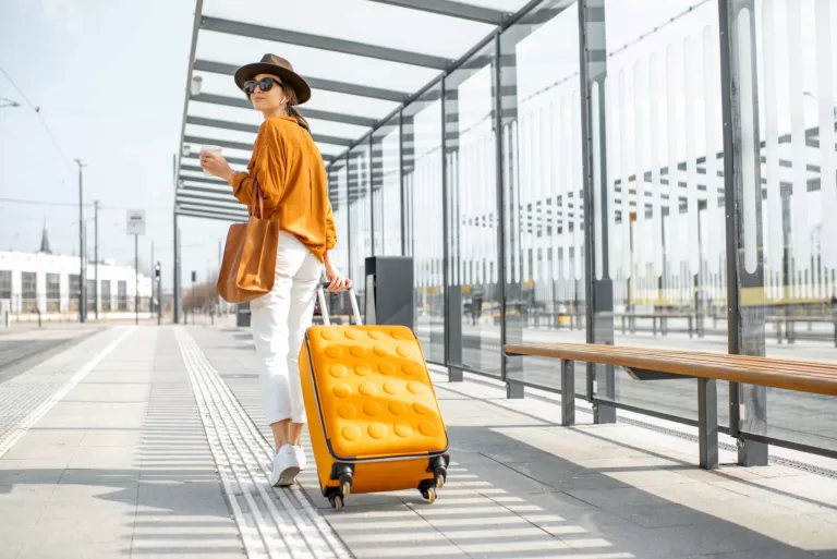 Traveling Bags Brands