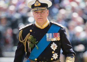 Defence chiefs told to 'get on with it' and strip Andrew's last title amid long delay