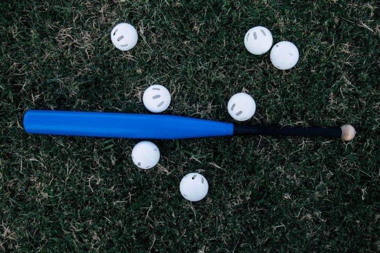 baseball bat
