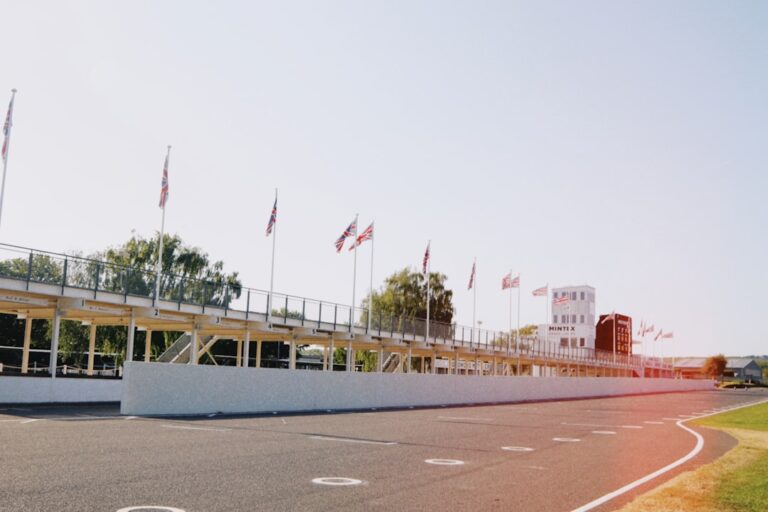 F1 Japanese GP