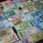 foreign exchange rate fluctuations