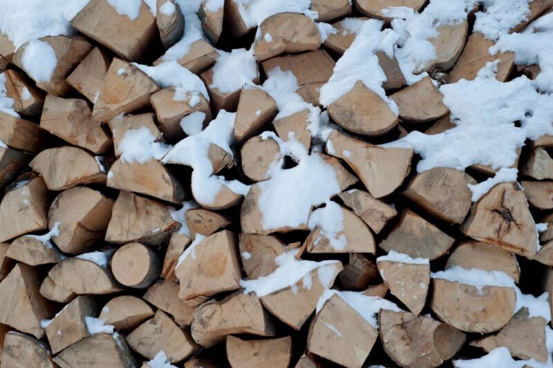 RI Energy Survival Guide