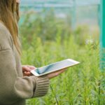 artificial intelligence in agriculture