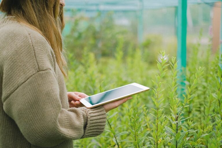 artificial intelligence in agriculture