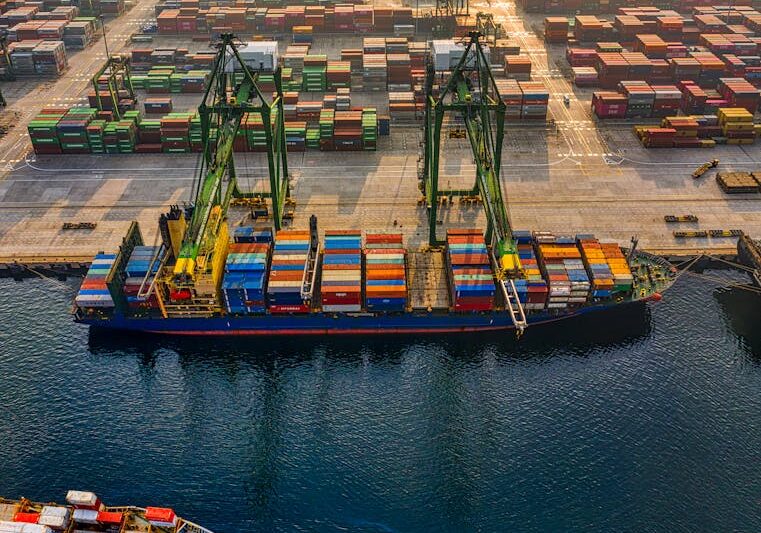 Where the Growth Is in 2026 and Beyond