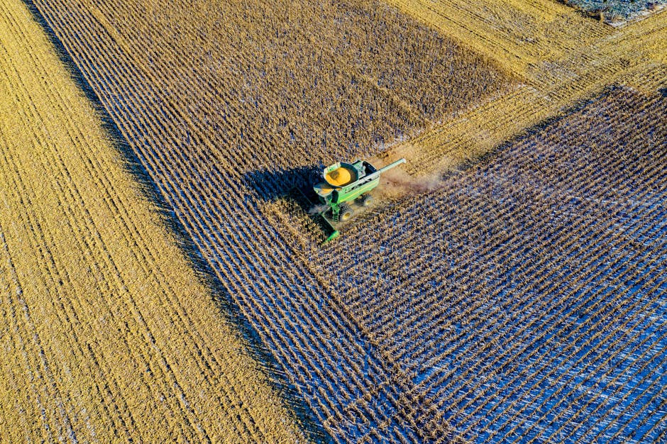ai in agriculture